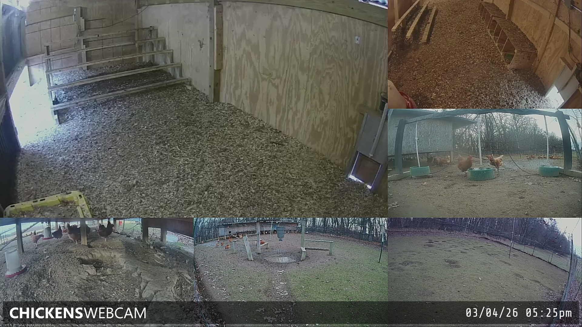 Twitch Stream Preview