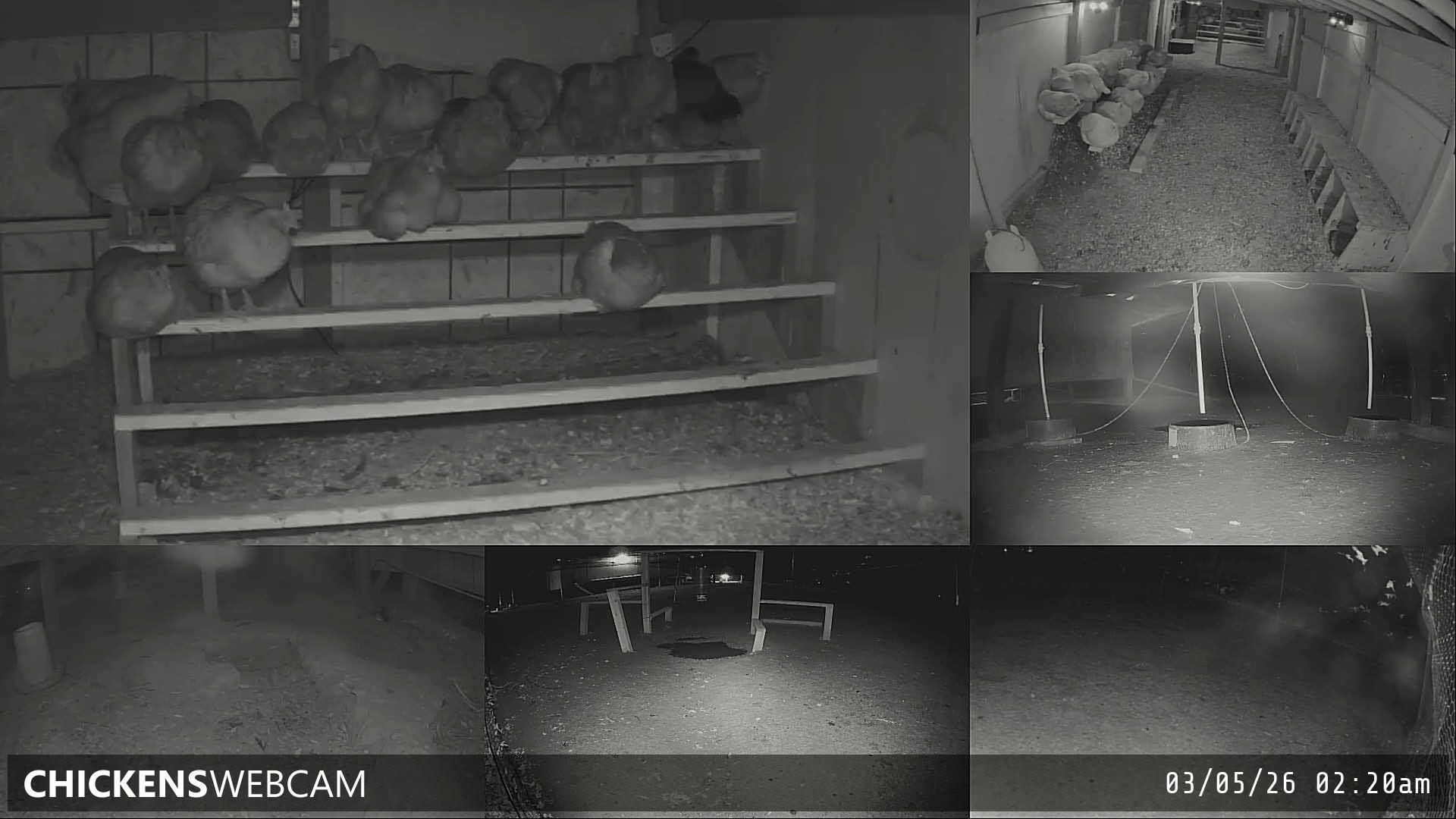 Twitch Stream Preview