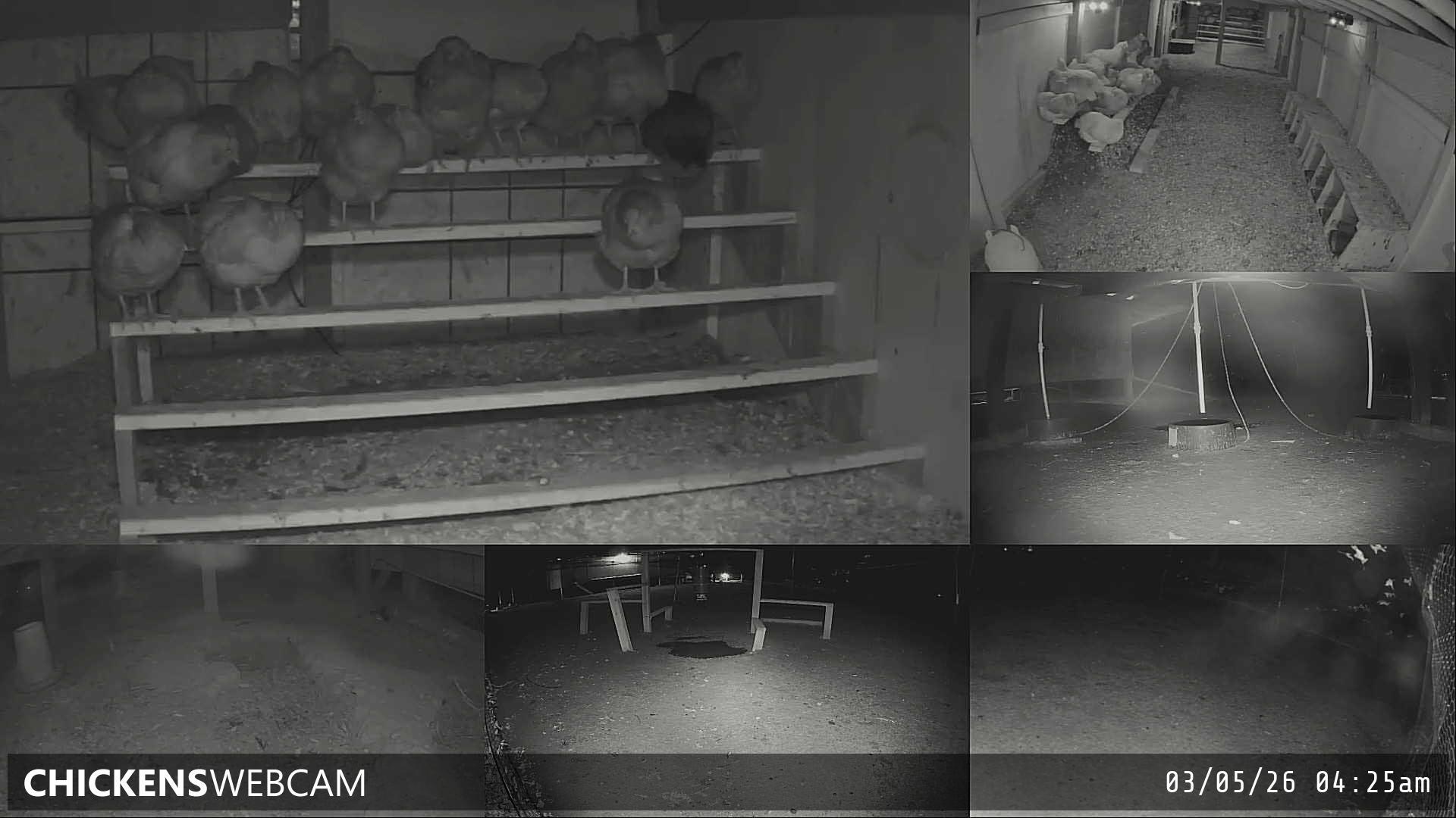 Twitch Stream Preview