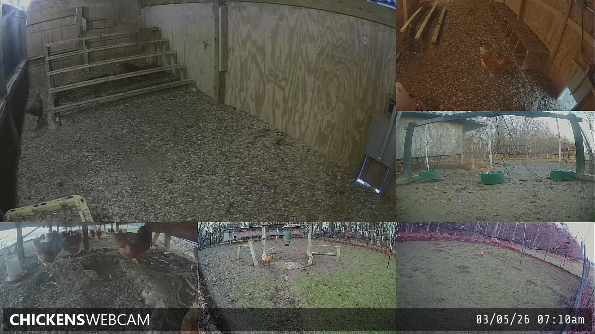 Twitch Stream Preview