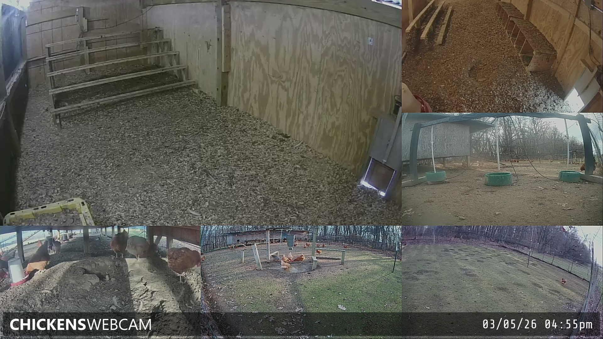 Twitch Stream Preview