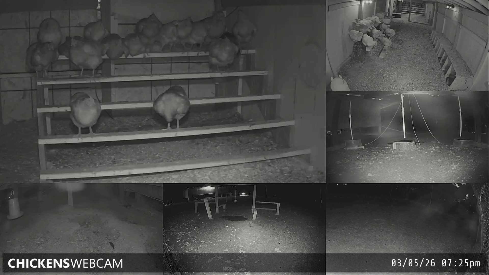 Twitch Stream Preview