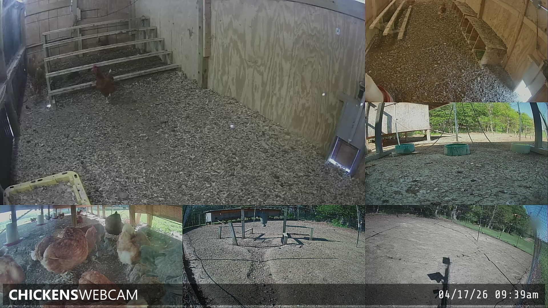 Twitch Stream Preview