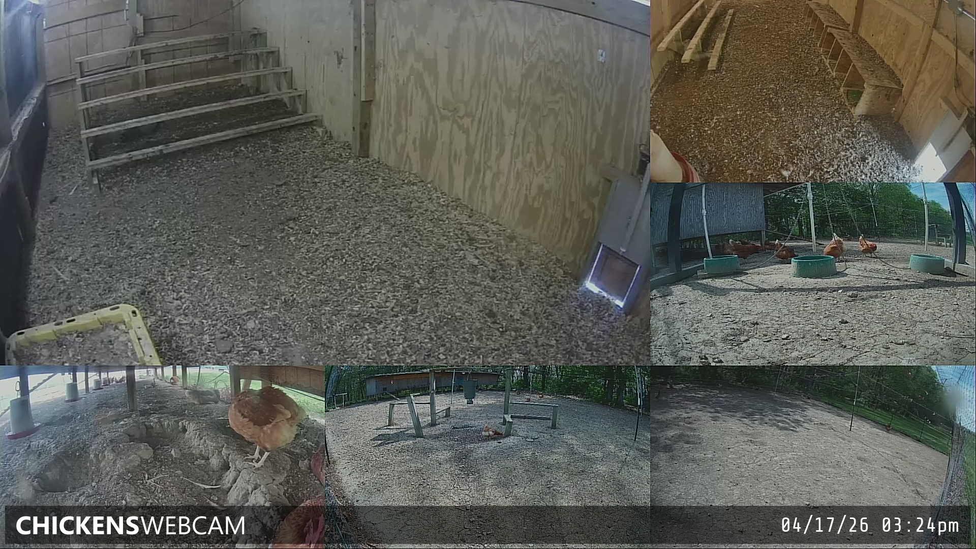 Twitch Stream Preview