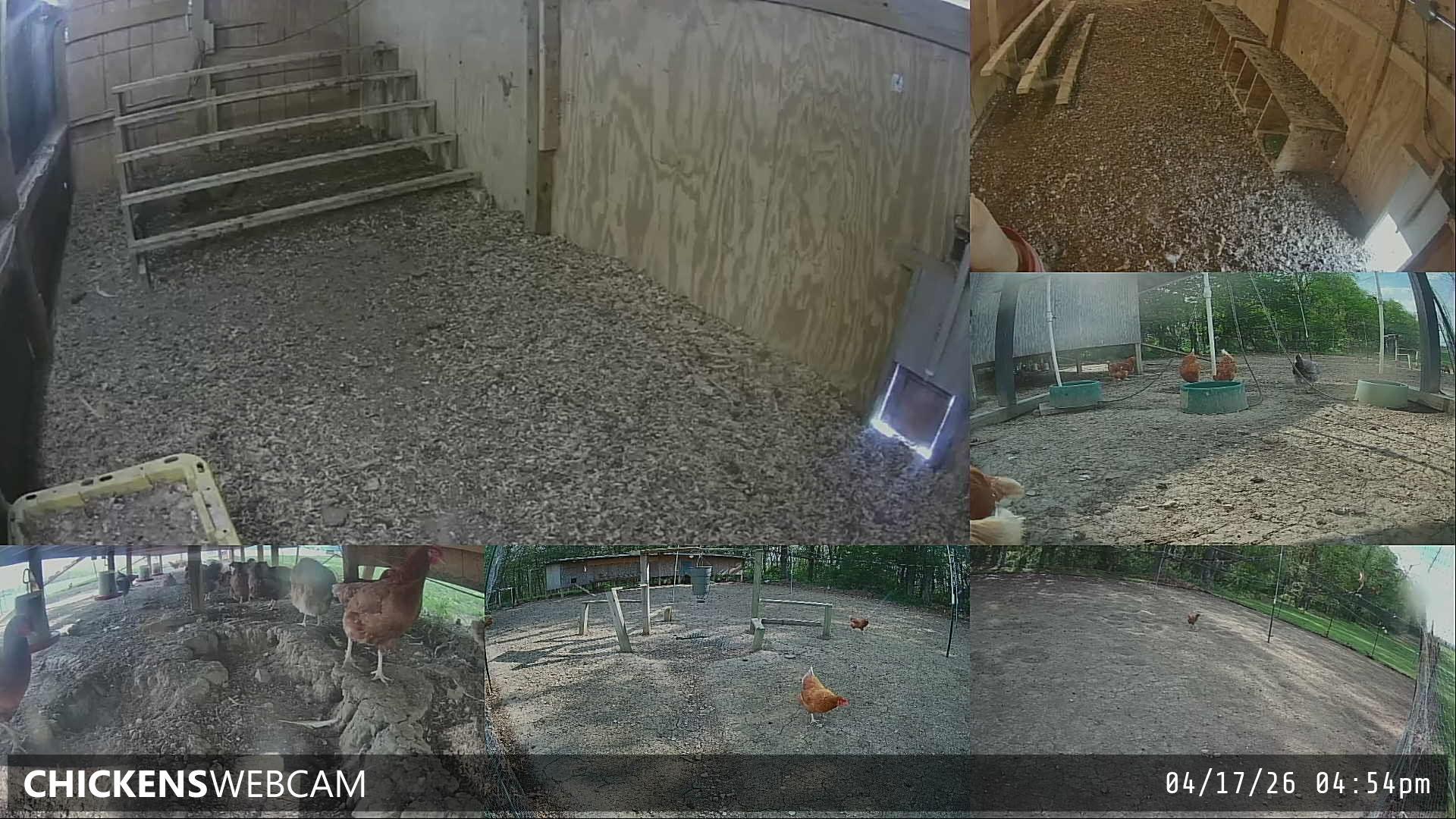 Twitch Stream Preview