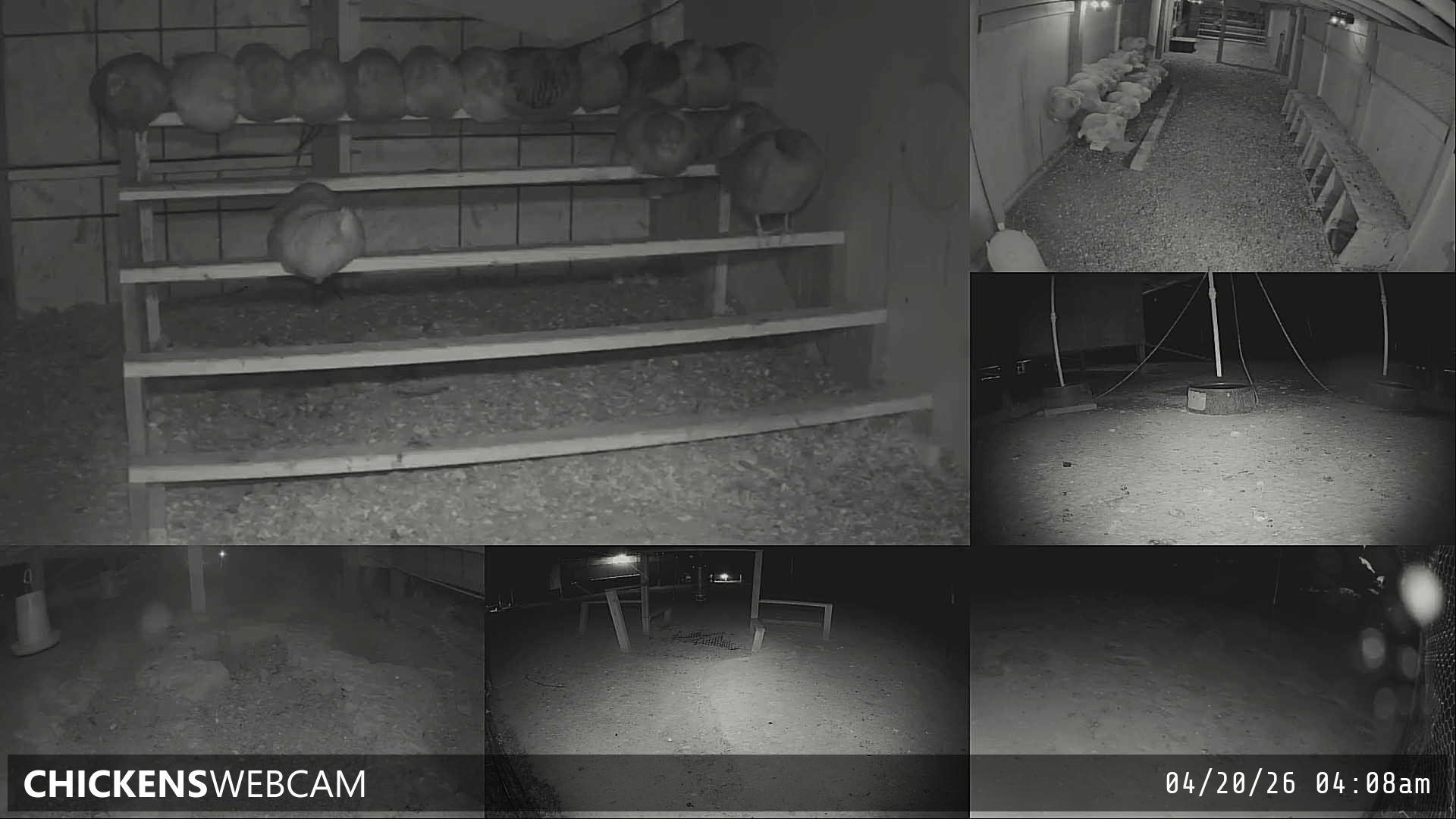 Twitch Stream Preview