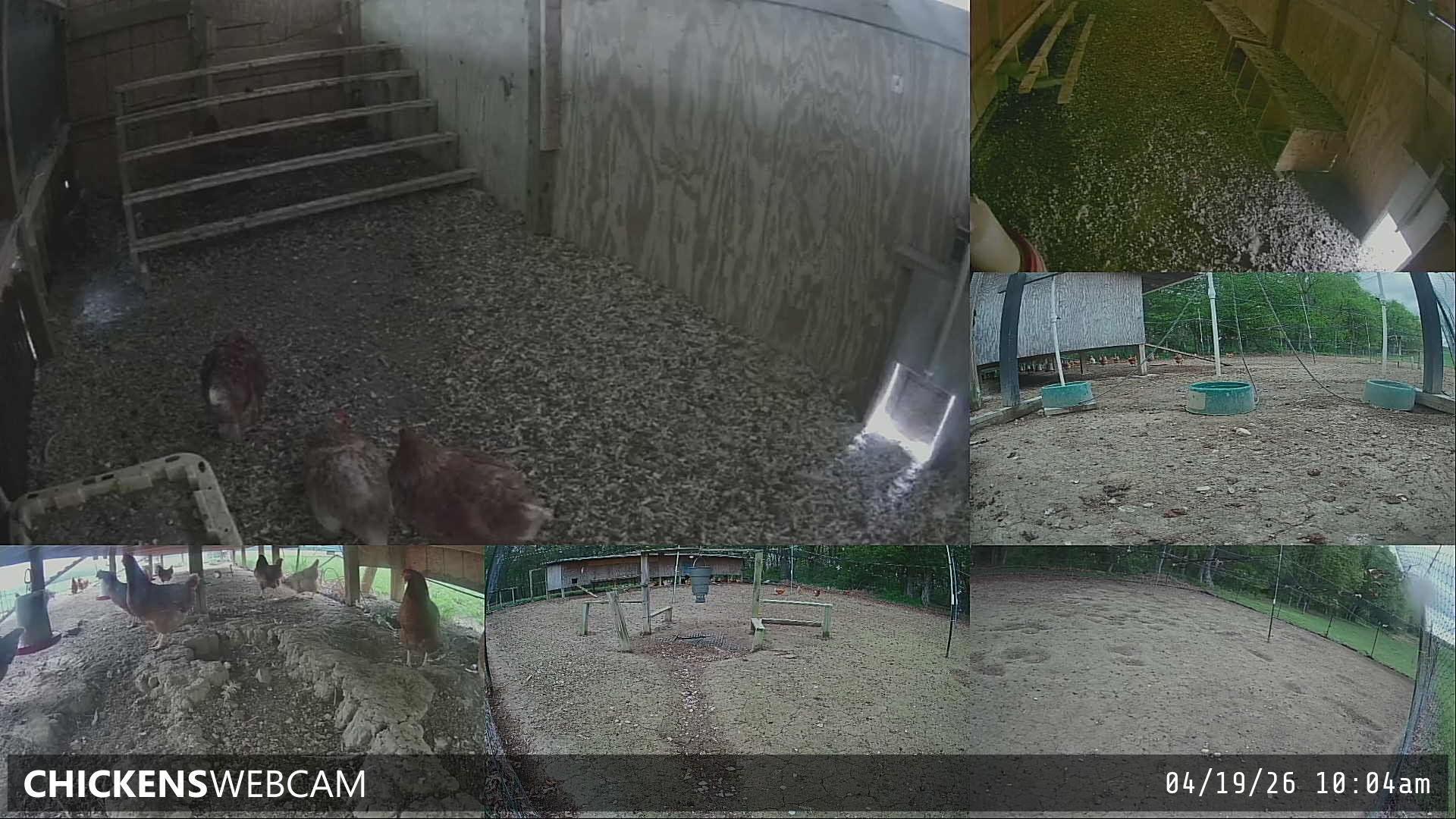 Twitch Stream Preview