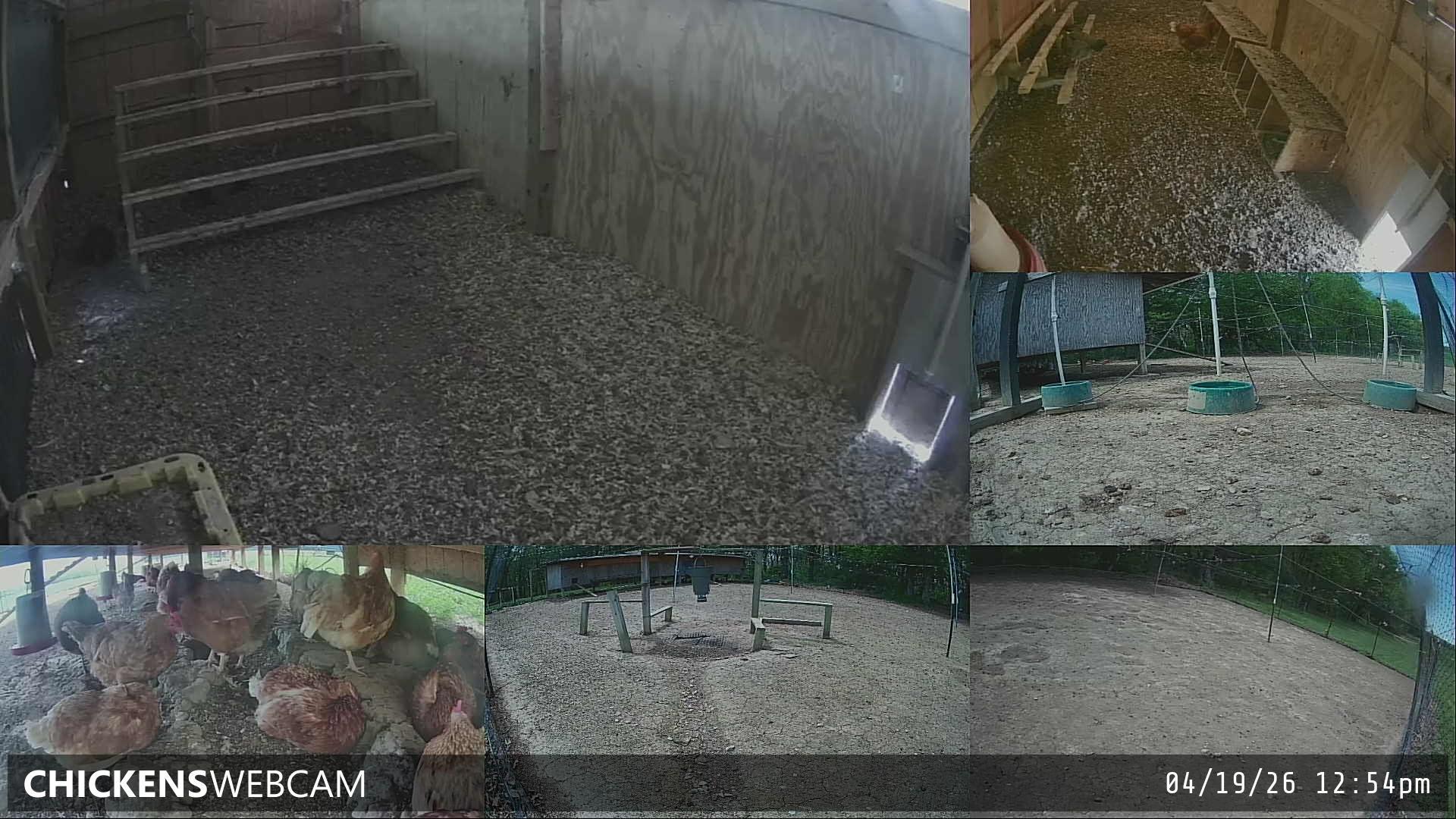 Twitch Stream Preview