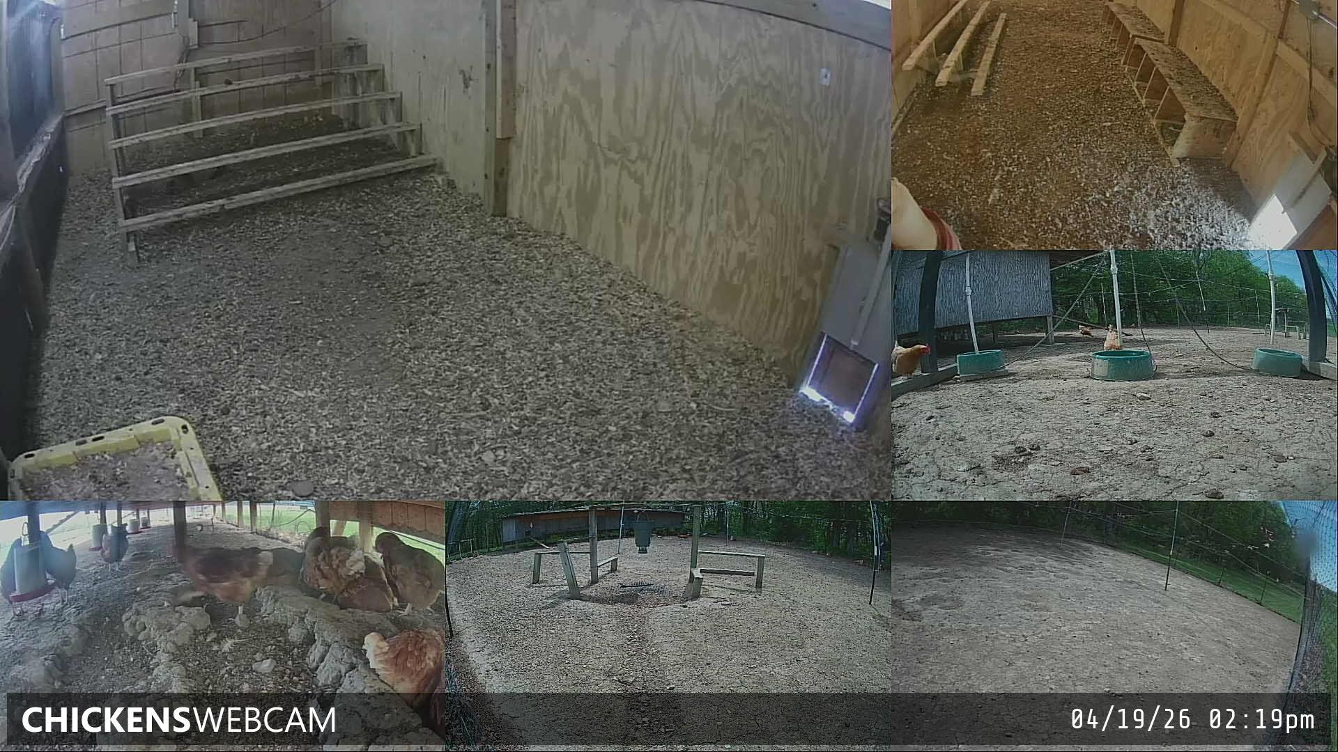 Twitch Stream Preview