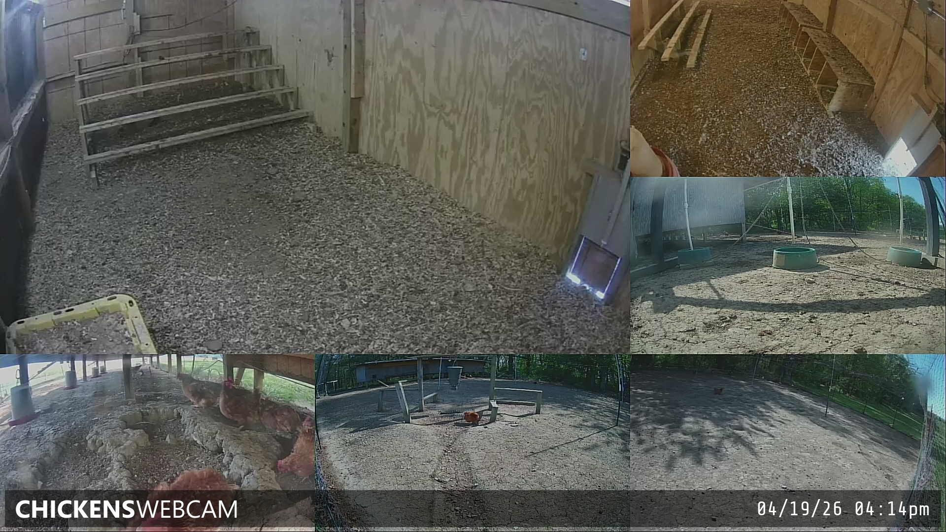 Twitch Stream Preview