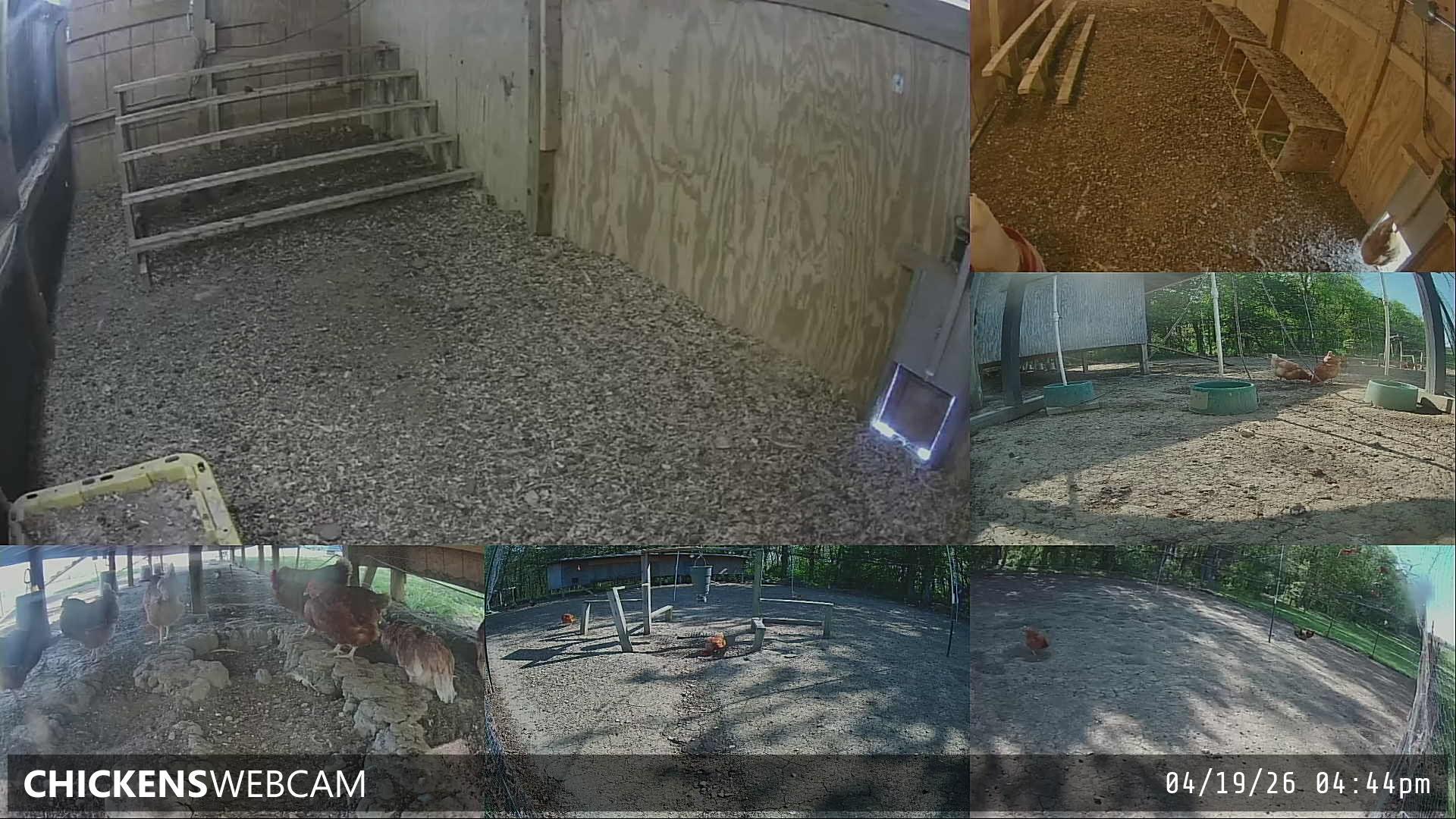 Twitch Stream Preview