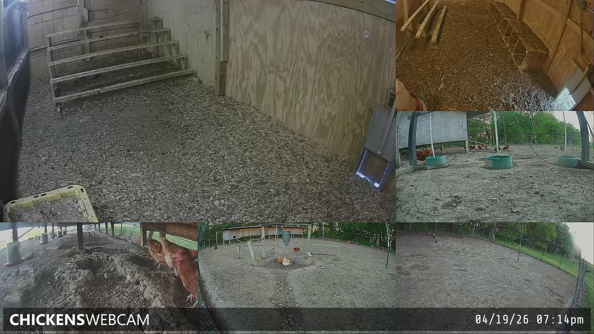 Twitch Stream Preview