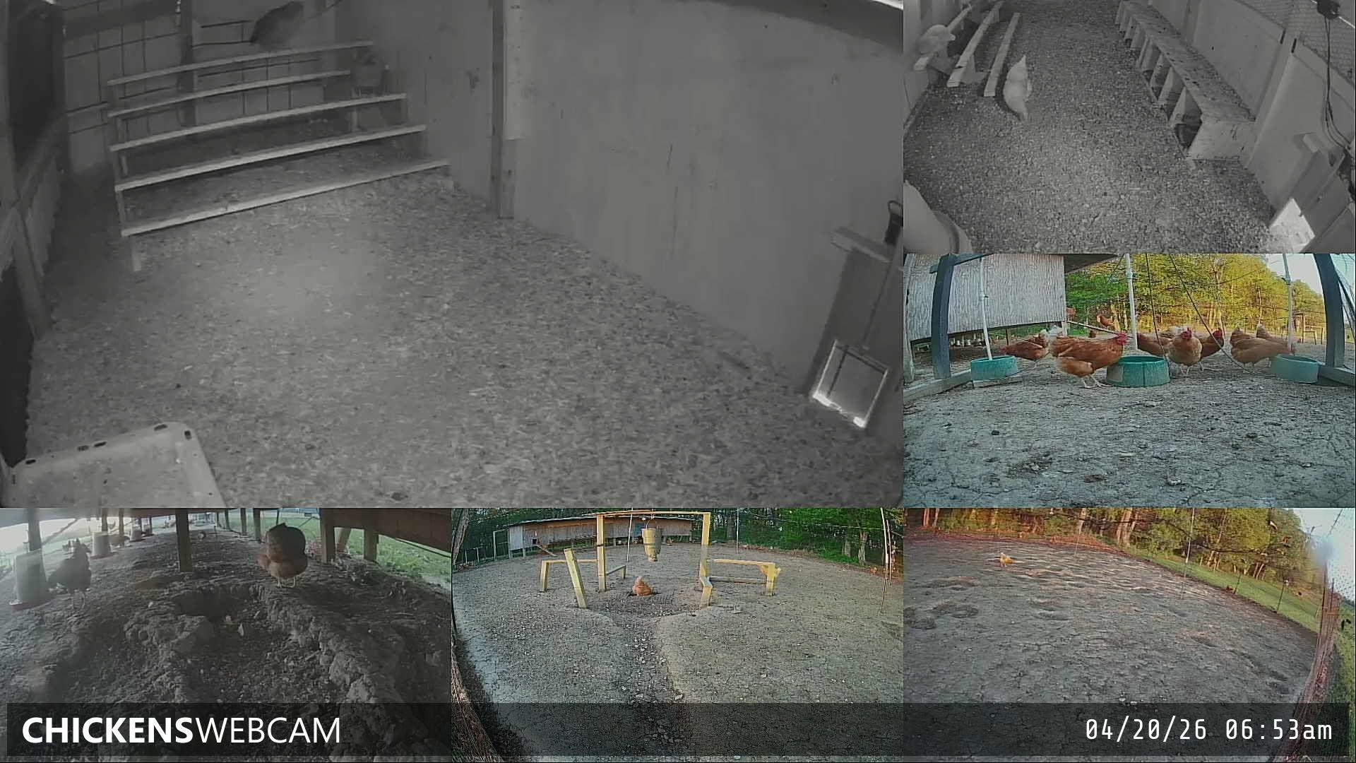 Twitch Stream Preview