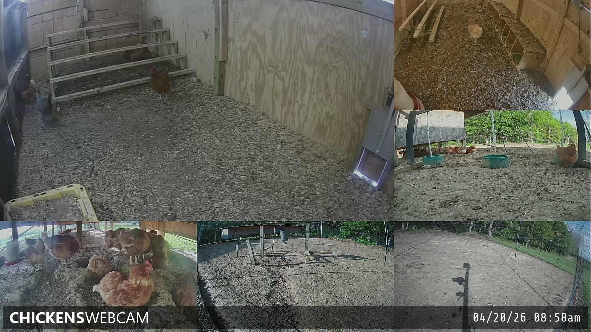 Twitch Stream Preview