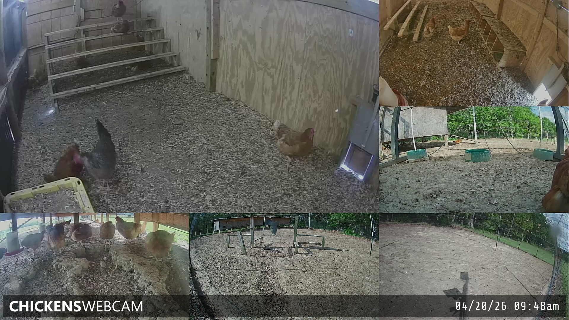 Twitch Stream Preview