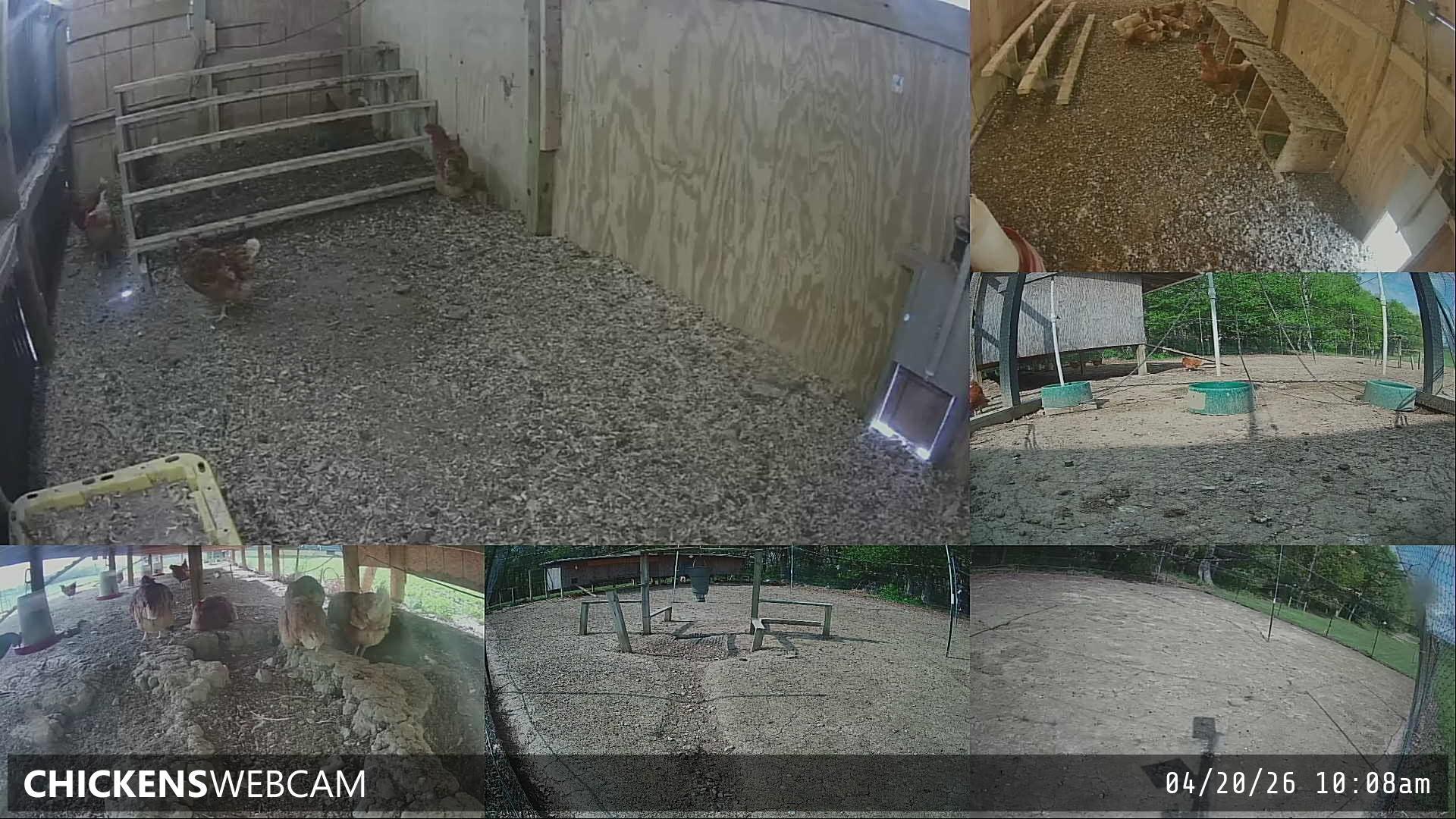 Twitch Stream Preview