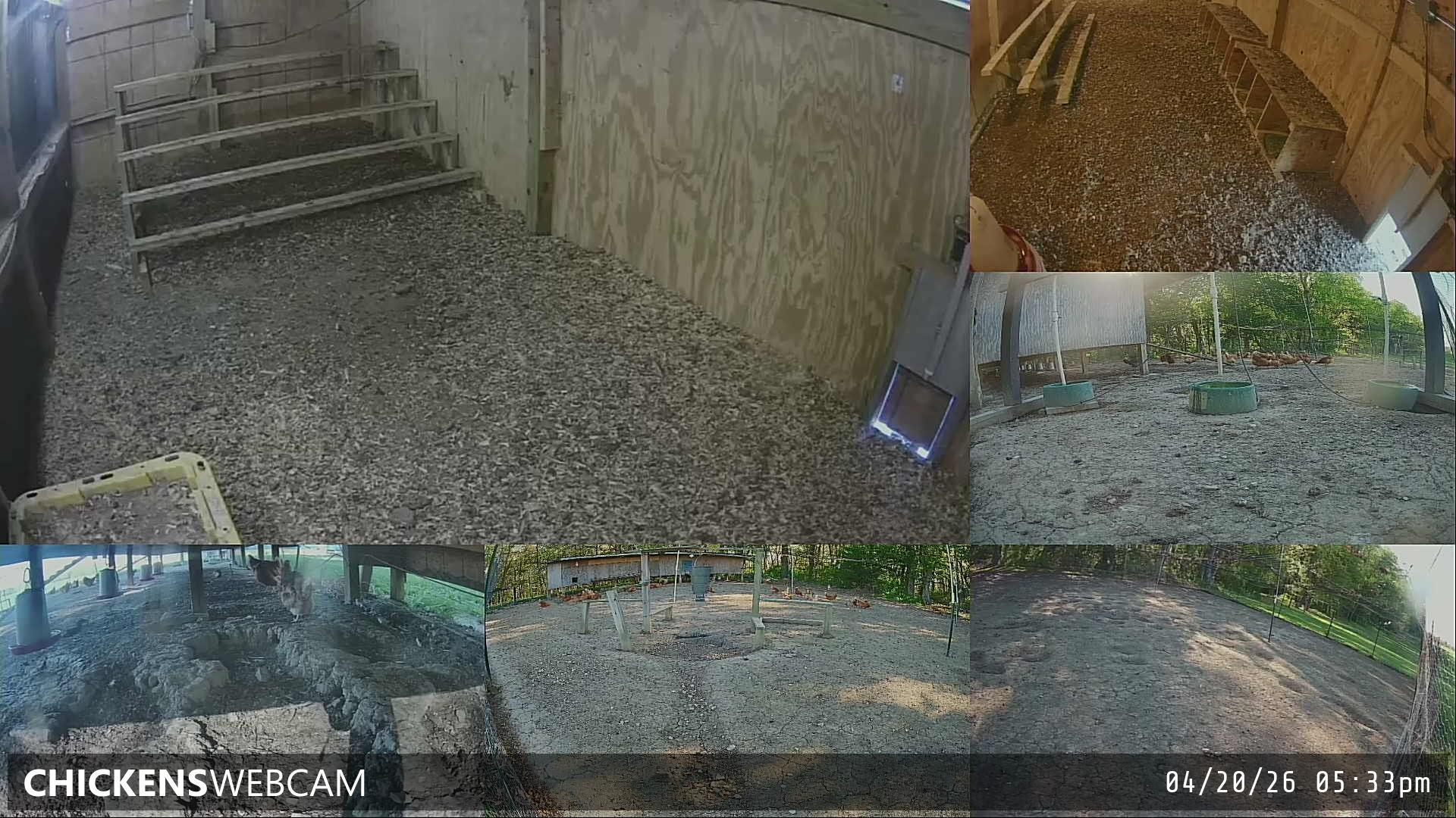 Twitch Stream Preview