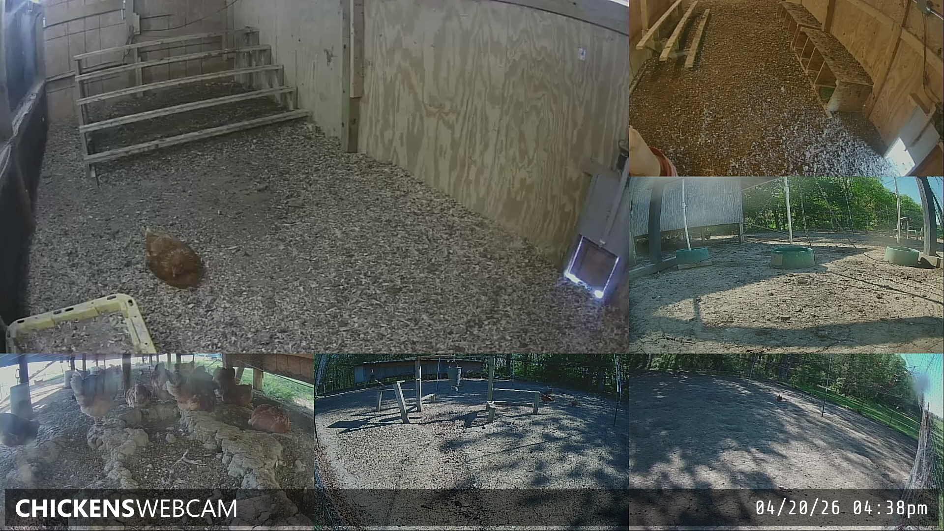 Twitch Stream Preview