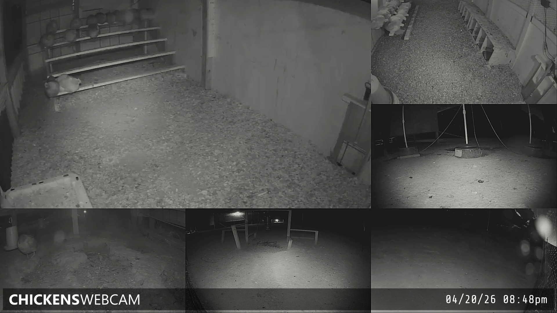 Twitch Stream Preview