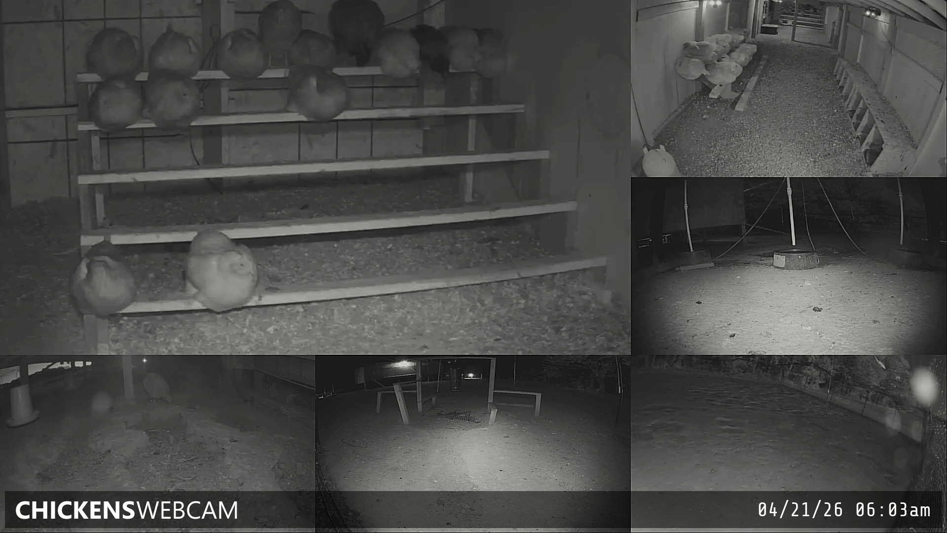 Twitch Stream Preview