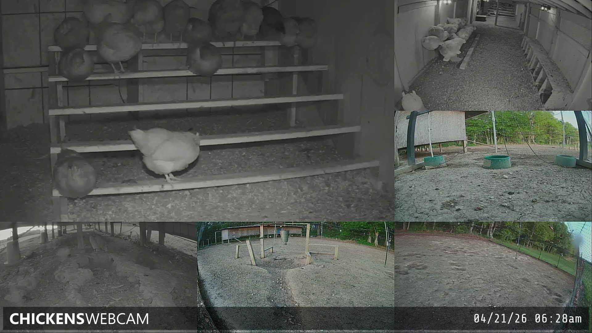 Twitch Stream Preview