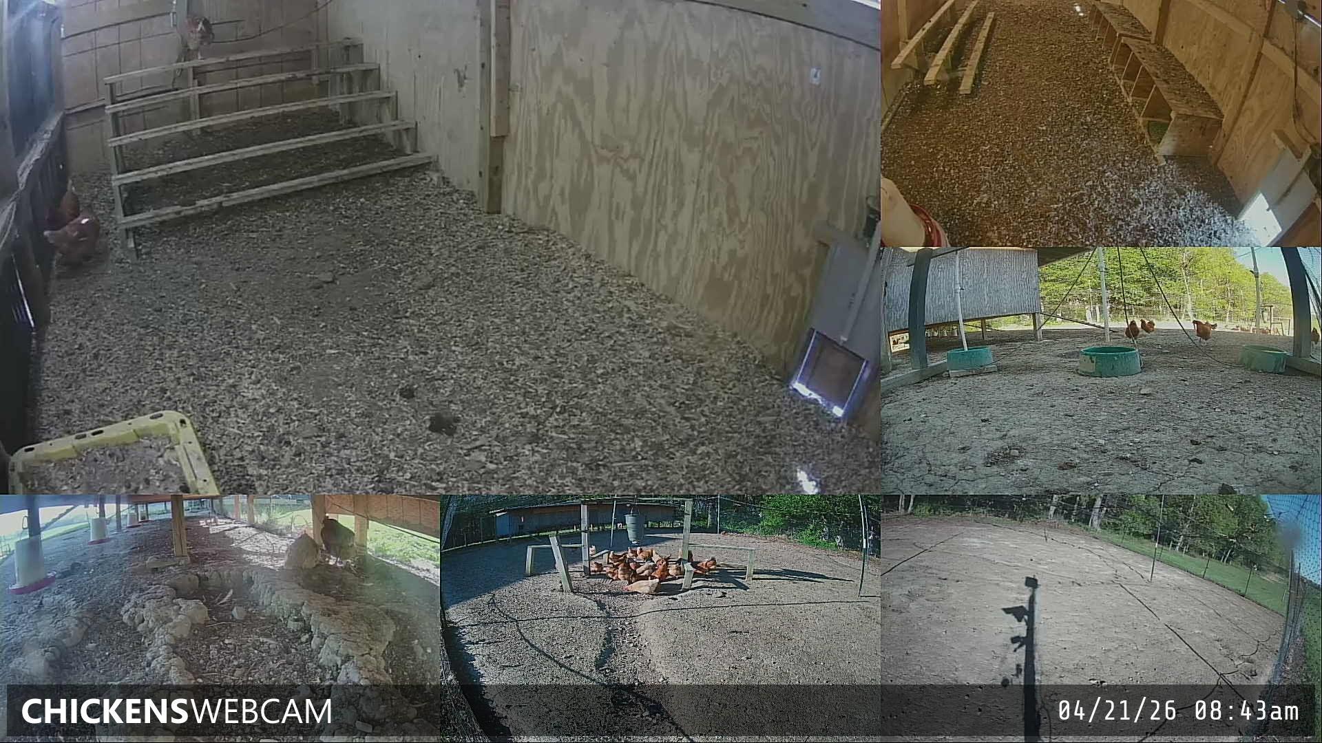 Twitch Stream Preview