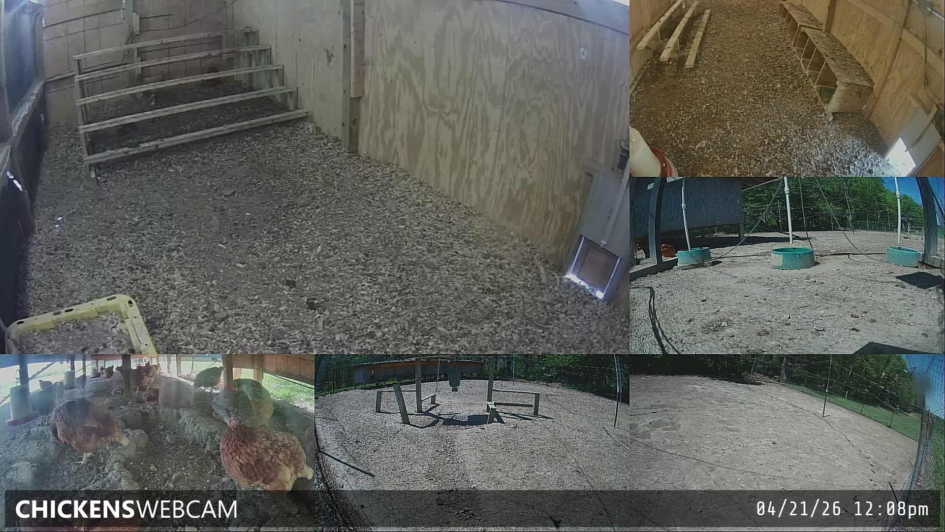 Twitch Stream Preview