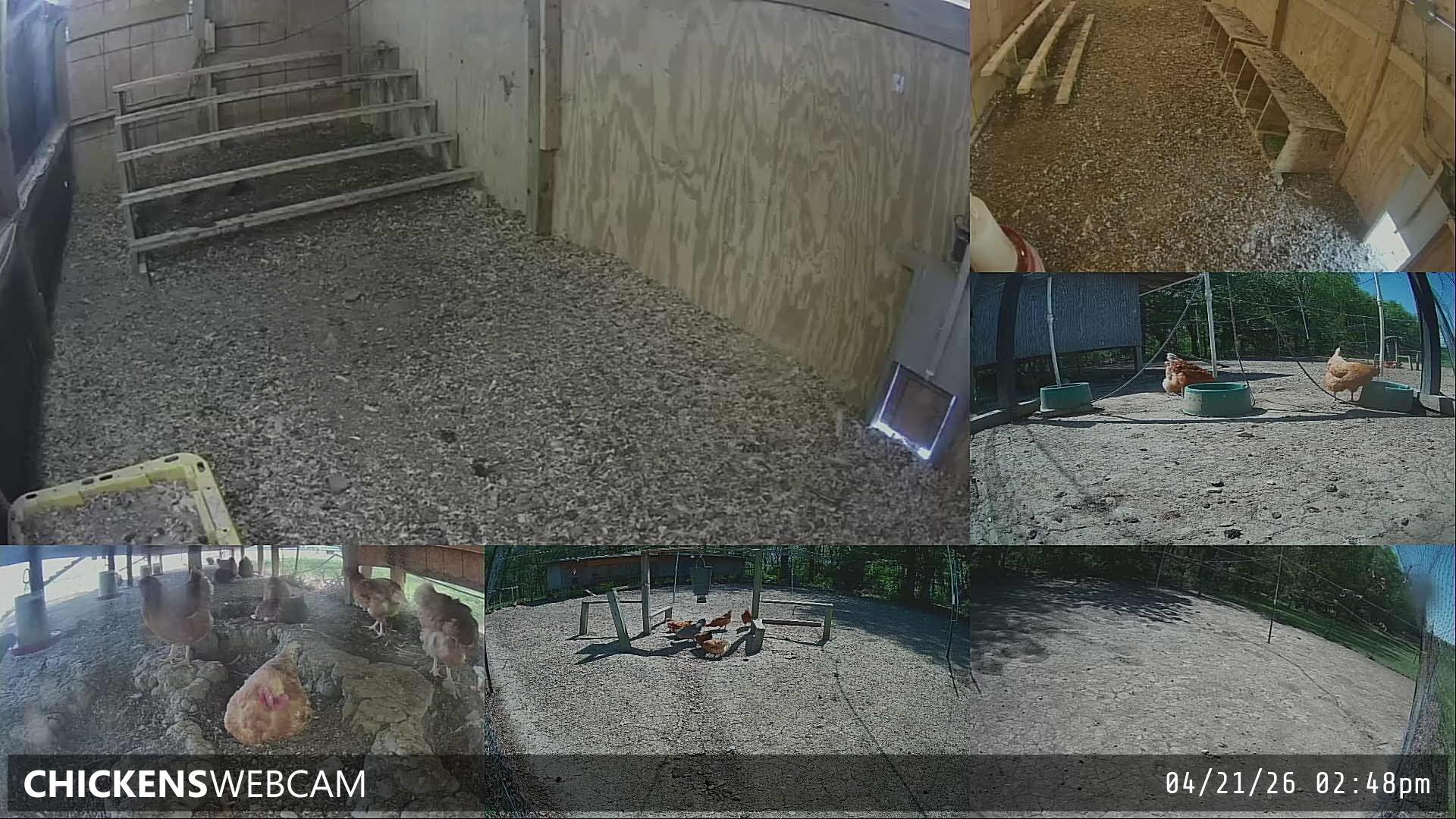 Twitch Stream Preview