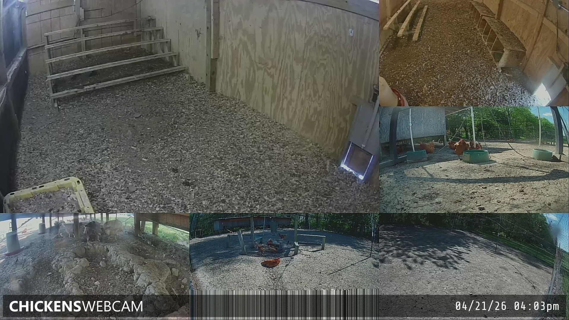 Twitch Stream Preview