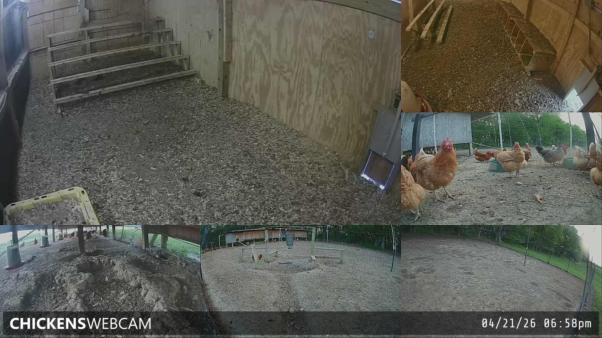 Twitch Stream Preview