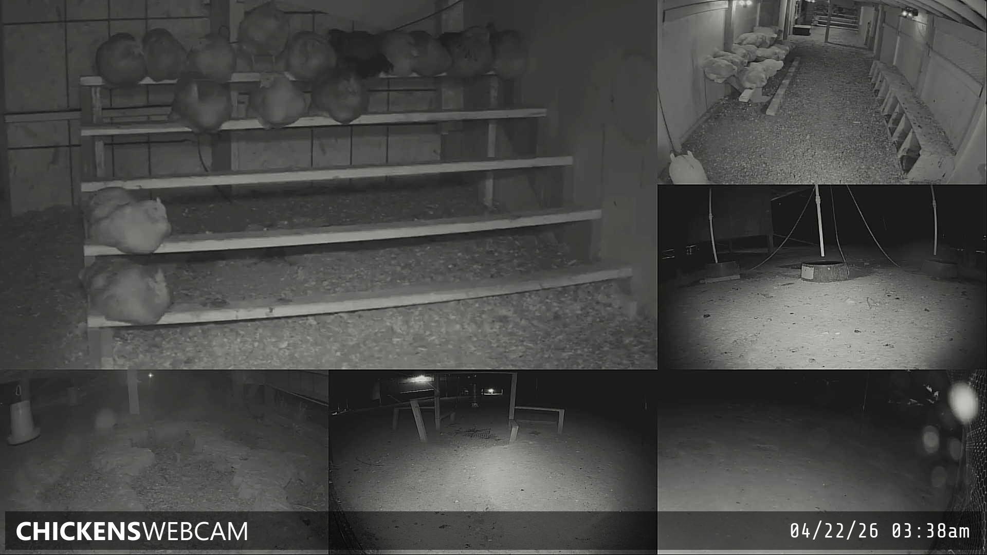 Twitch Stream Preview