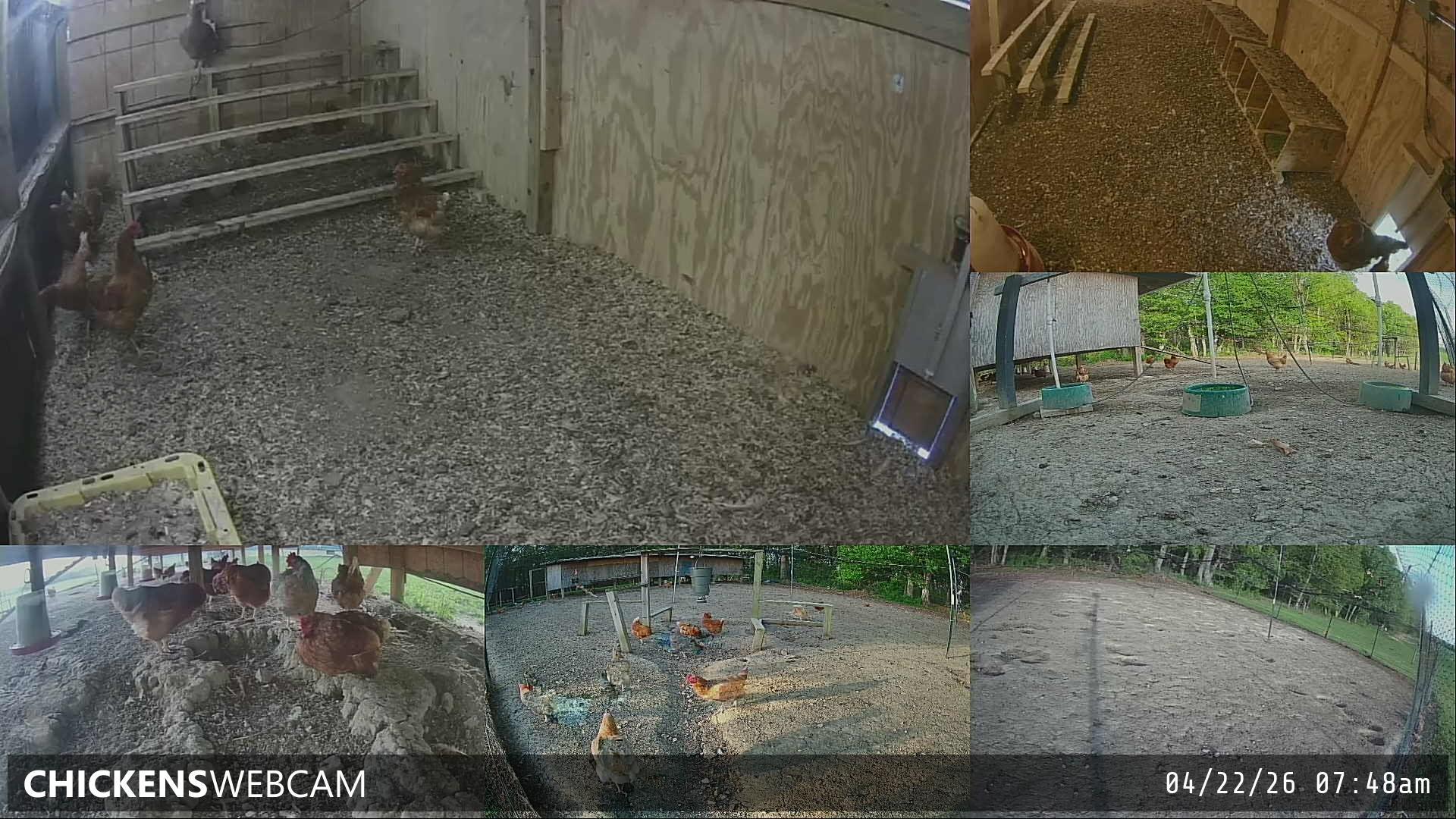 Twitch Stream Preview