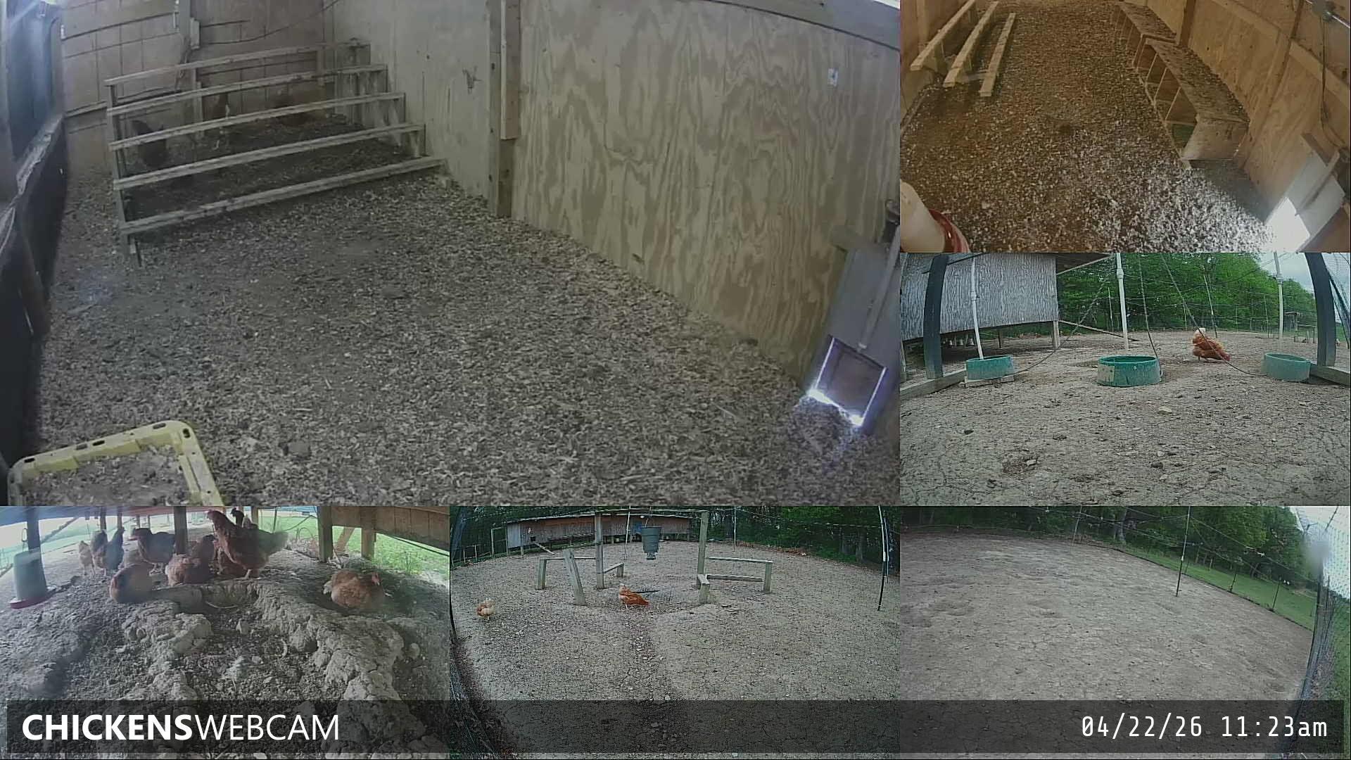 Twitch Stream Preview