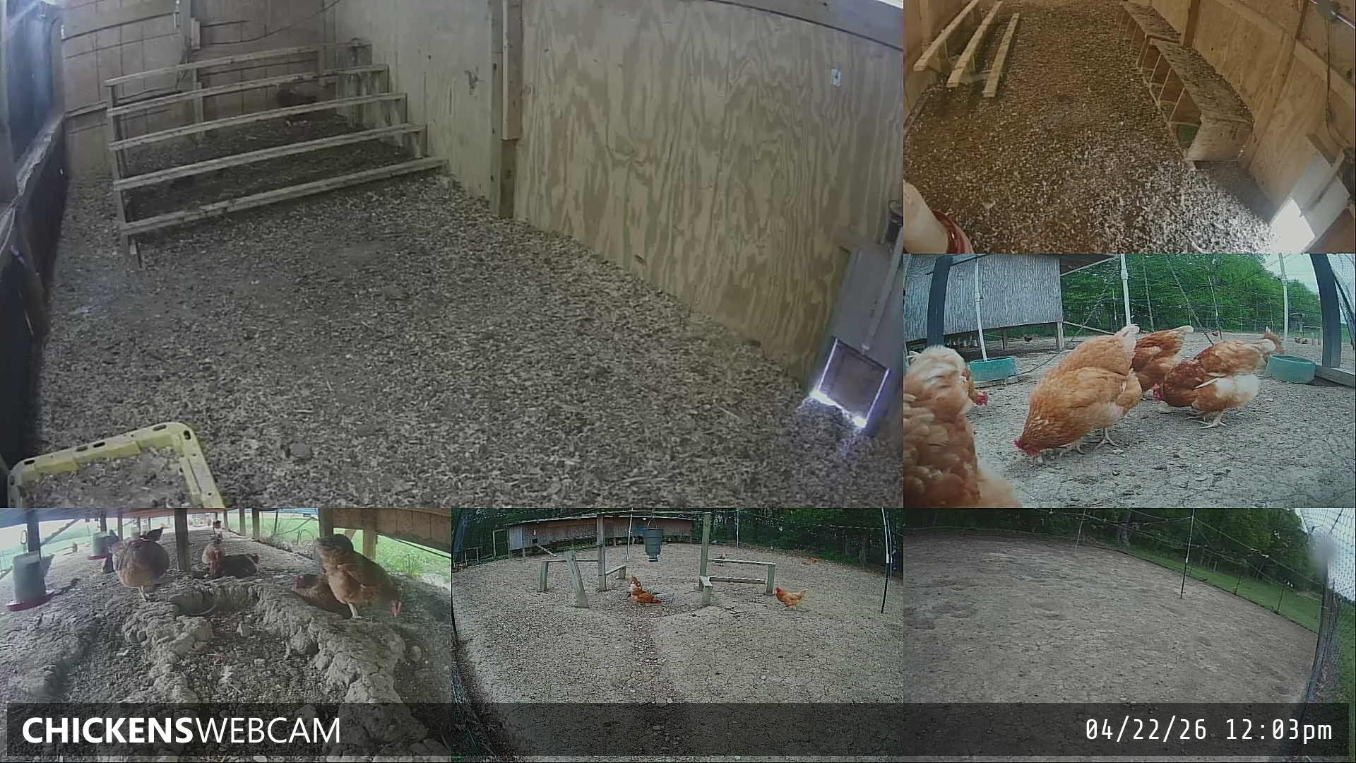 Twitch Stream Preview