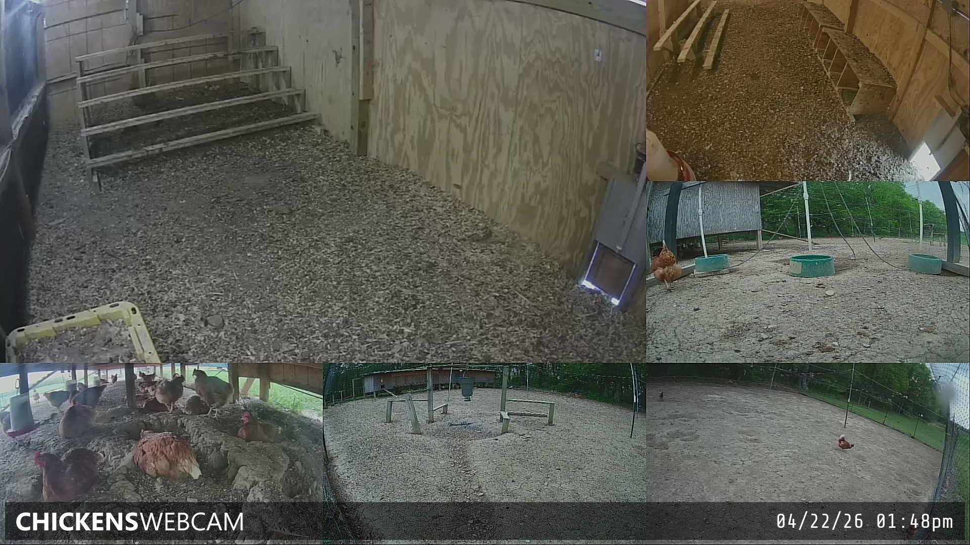 Twitch Stream Preview