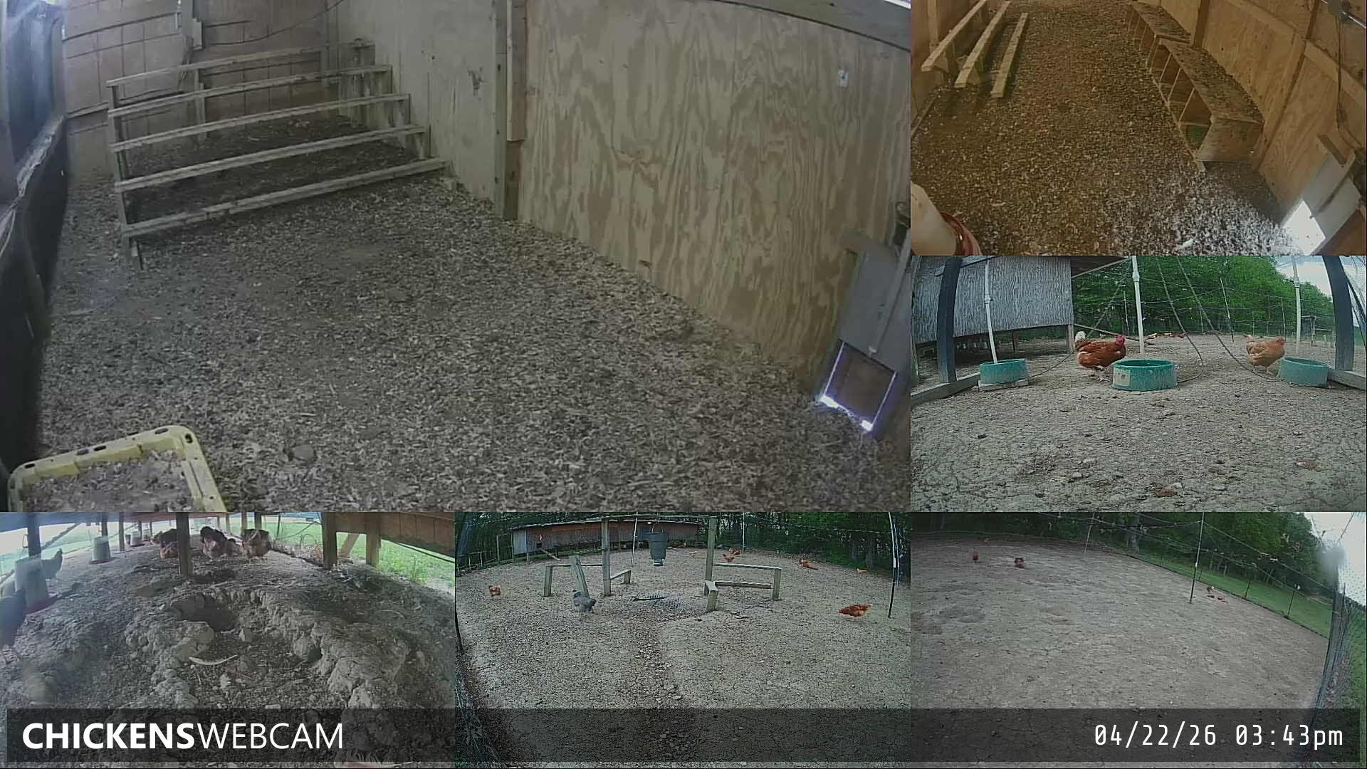 Twitch Stream Preview