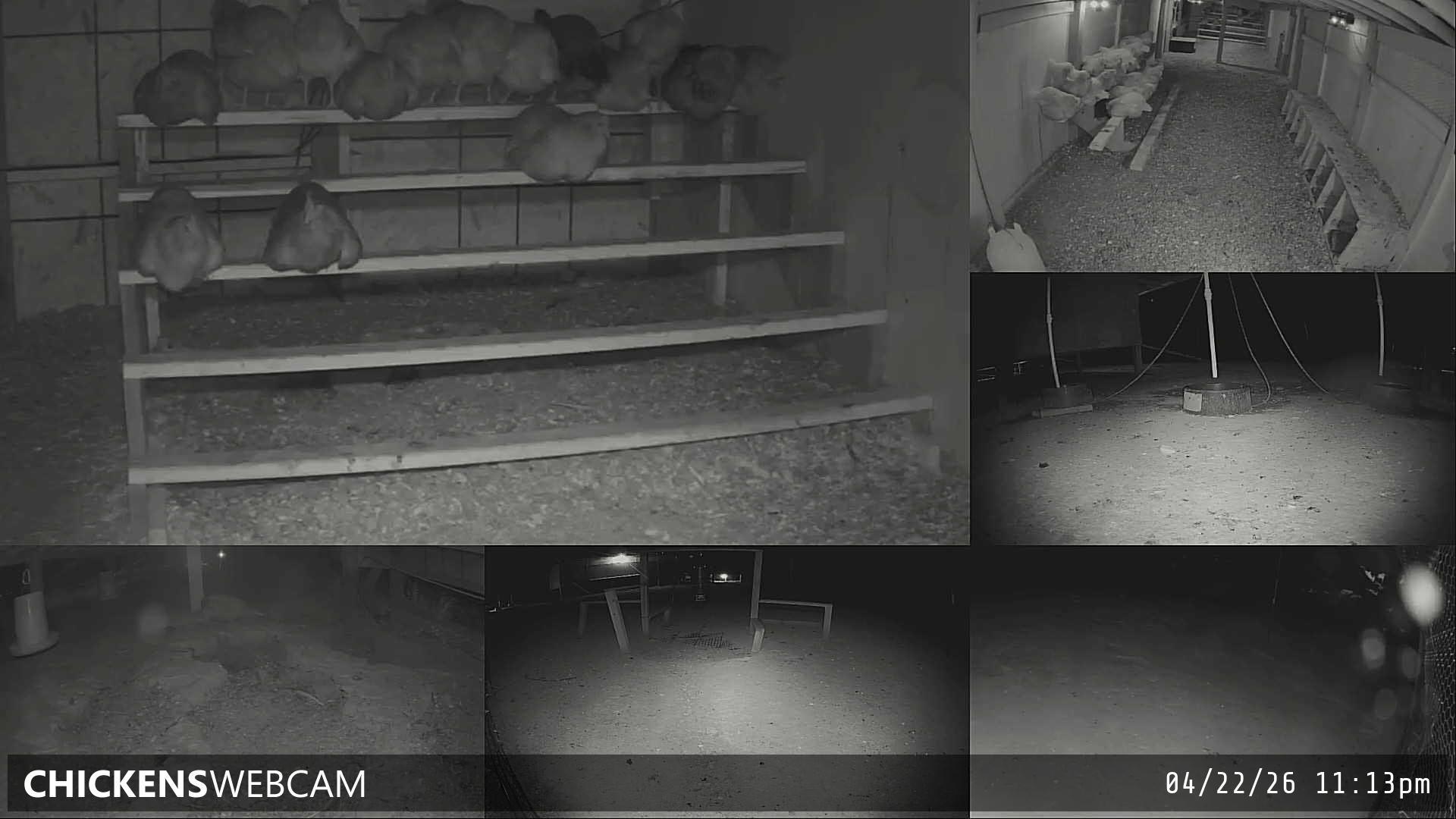 Twitch Stream Preview