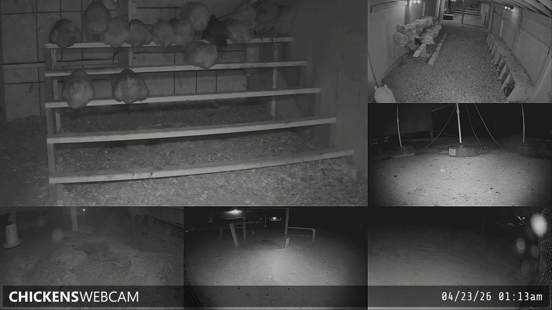 Twitch Stream Preview