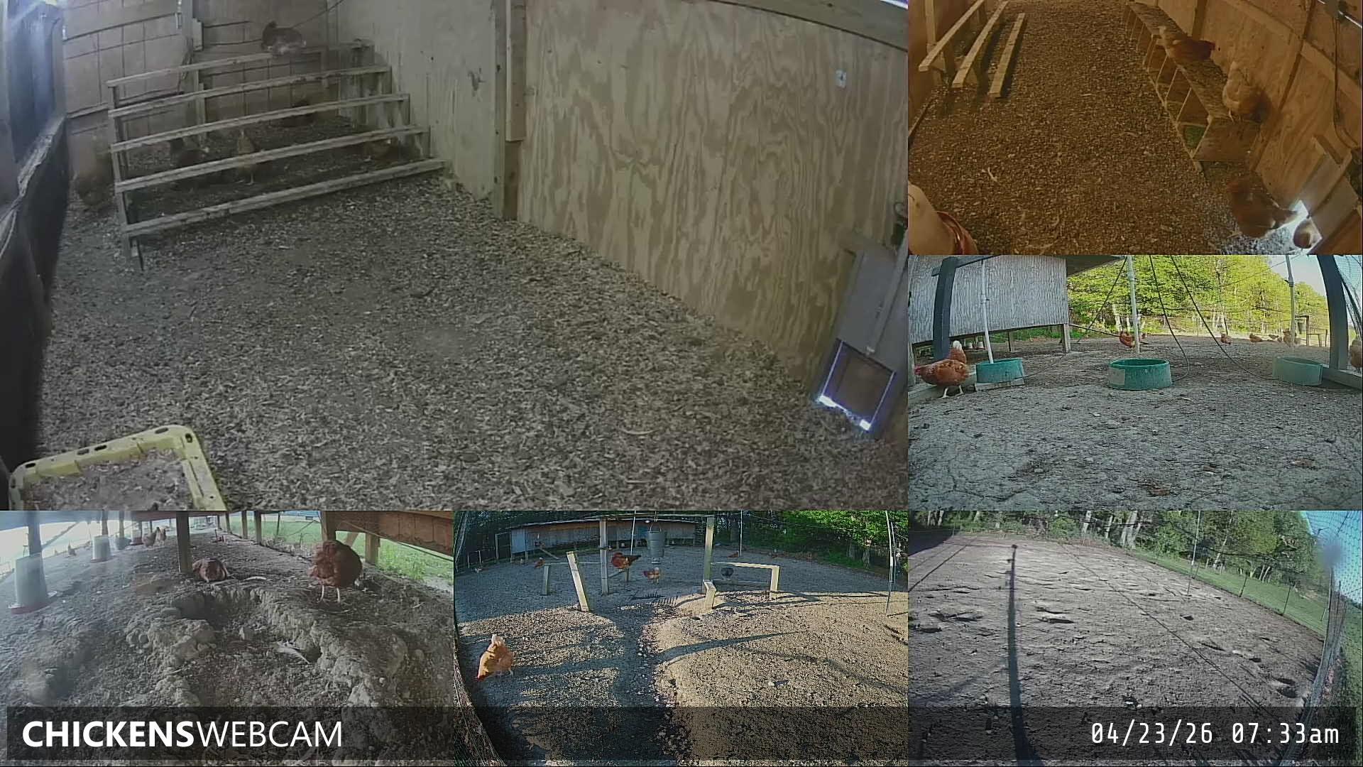 Twitch Stream Preview