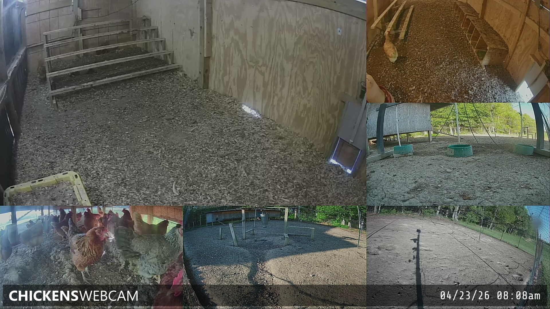 Twitch Stream Preview