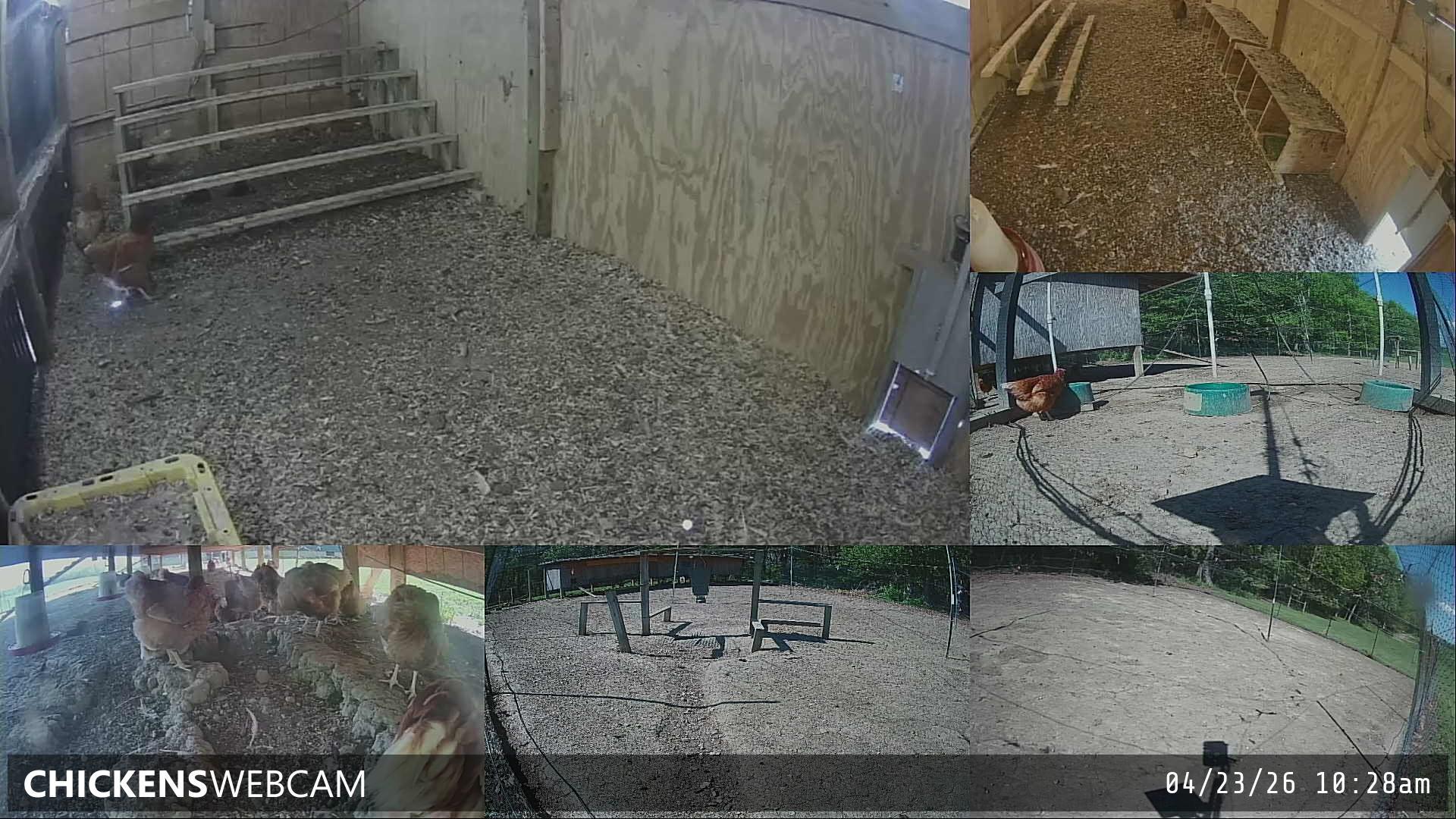 Twitch Stream Preview