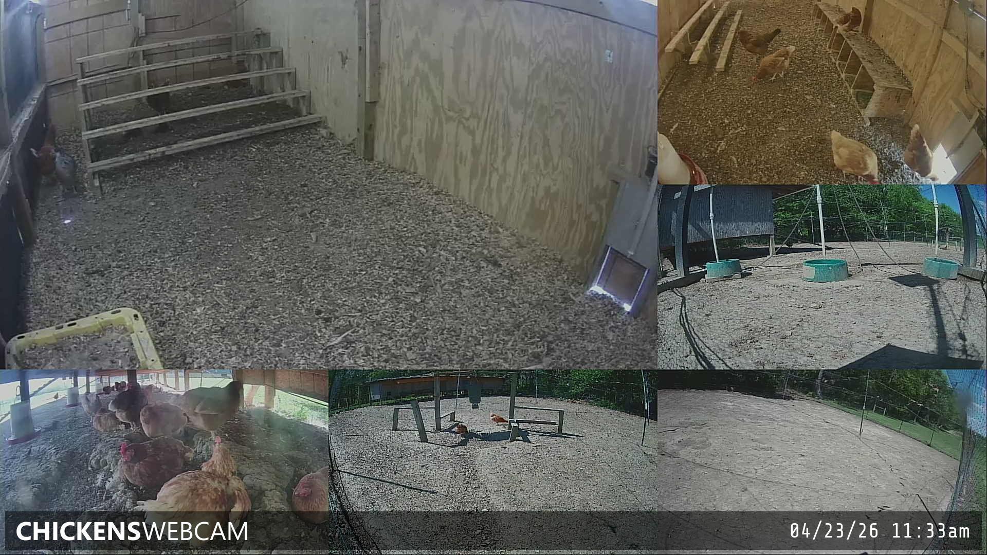 Twitch Stream Preview