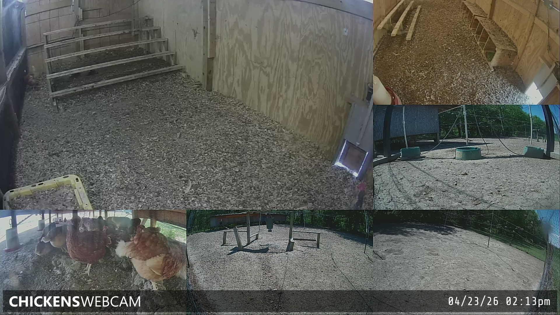 Twitch Stream Preview