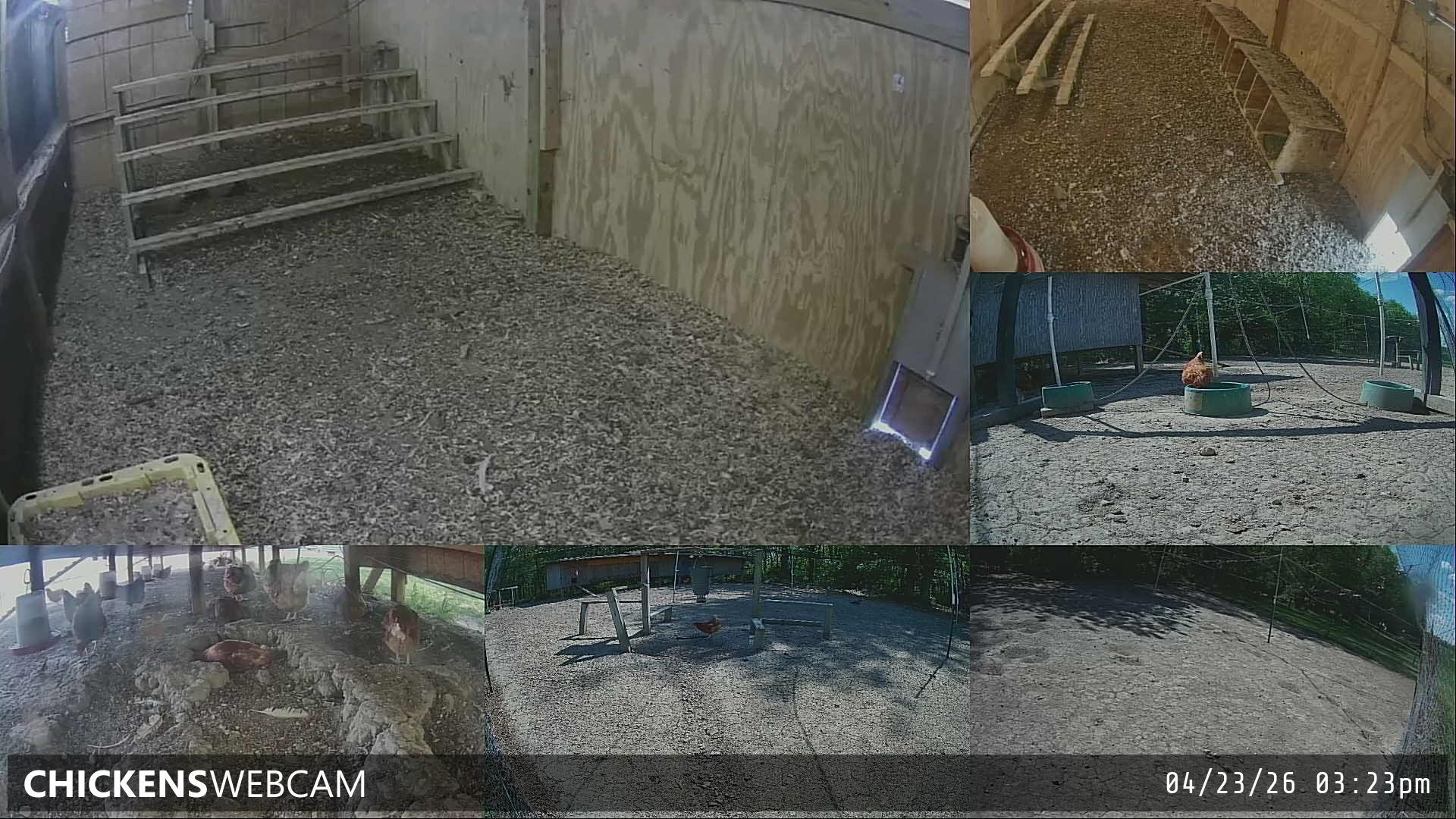 Twitch Stream Preview