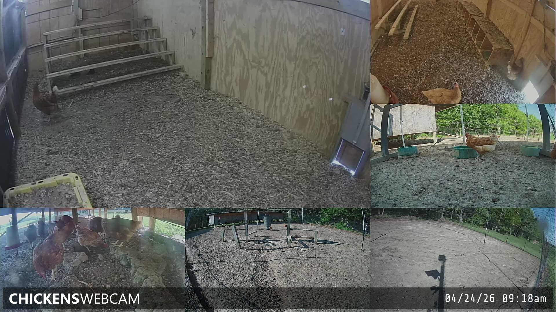 Twitch Stream Preview