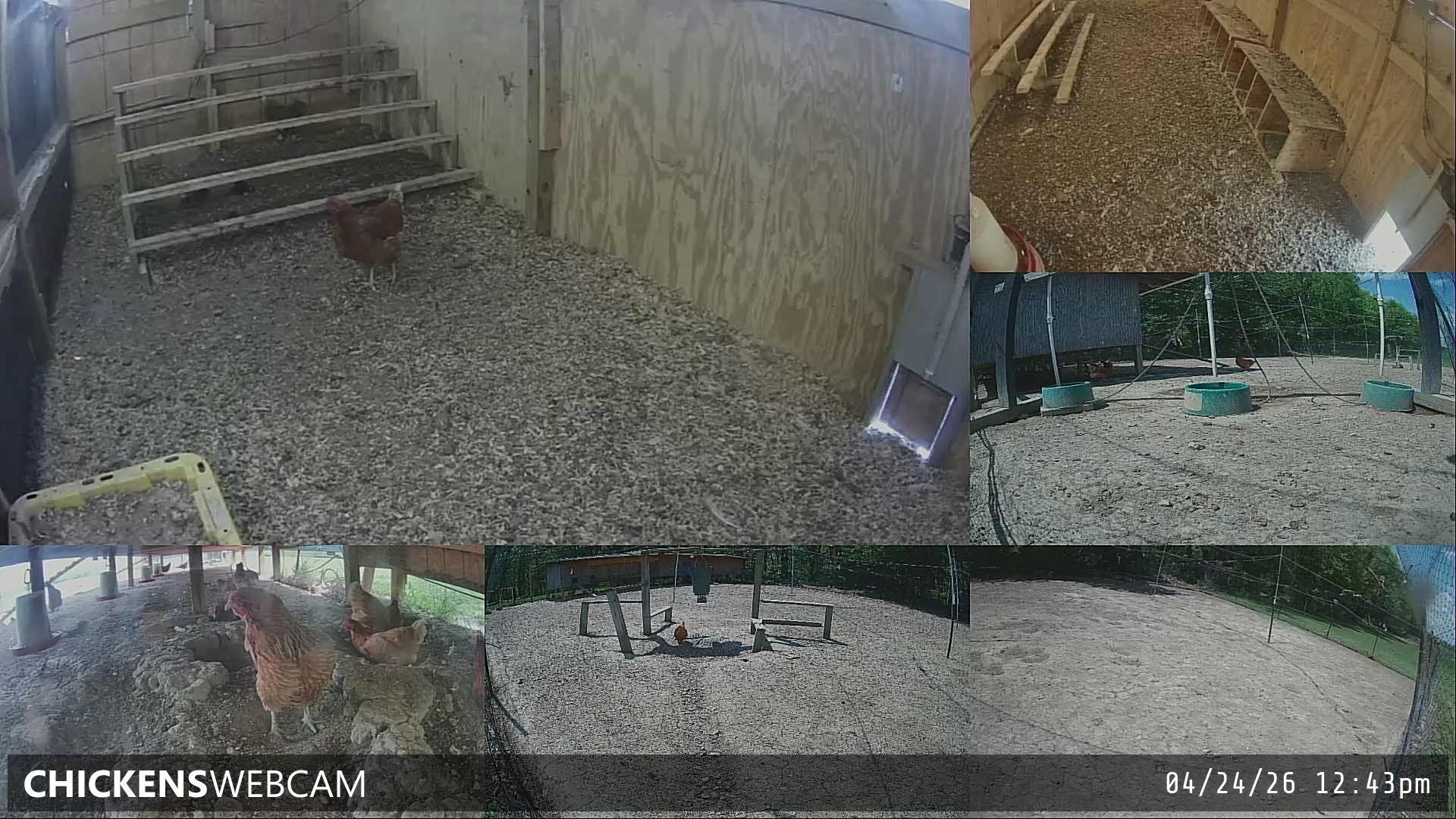 Twitch Stream Preview