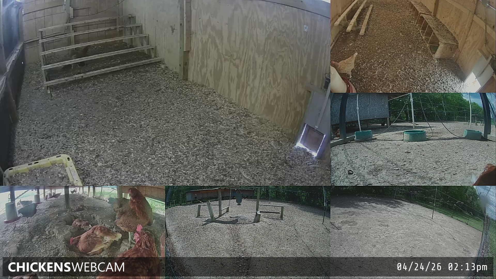 Twitch Stream Preview