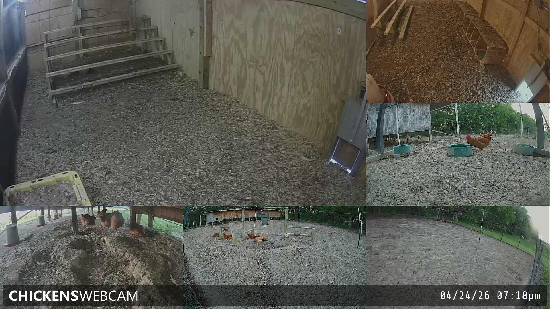 Twitch Stream Preview