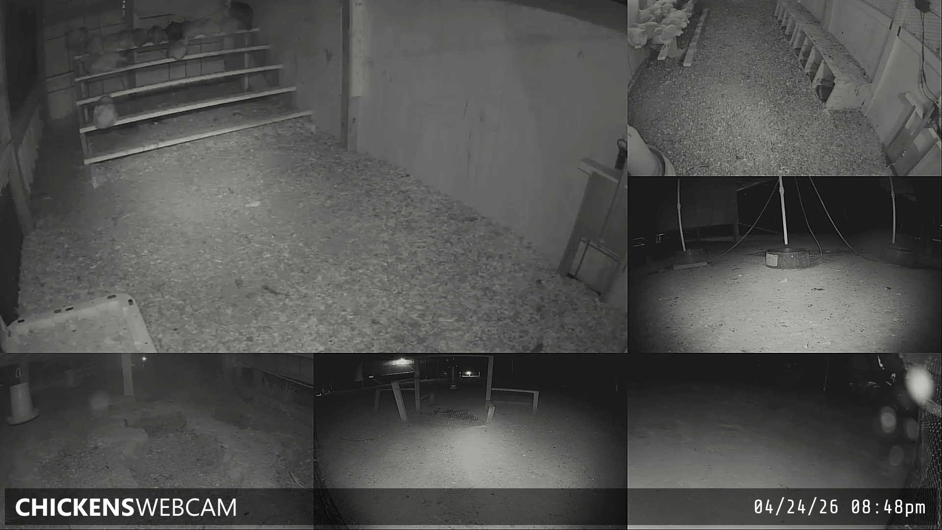 Twitch Stream Preview