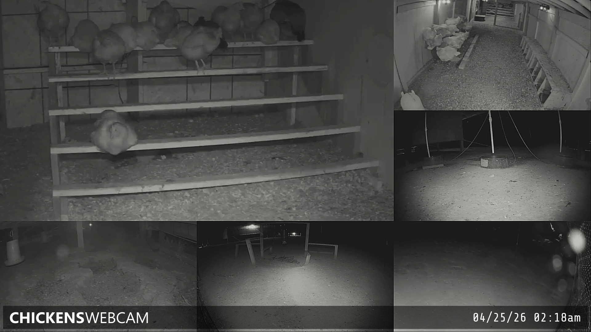 Twitch Stream Preview